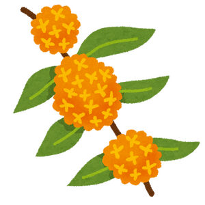 flower_kinmokusei