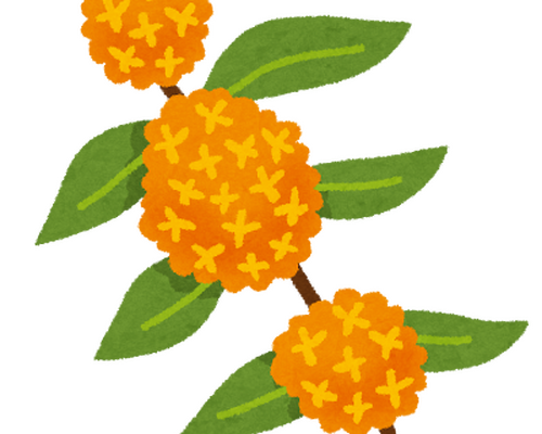 flower_kinmokusei