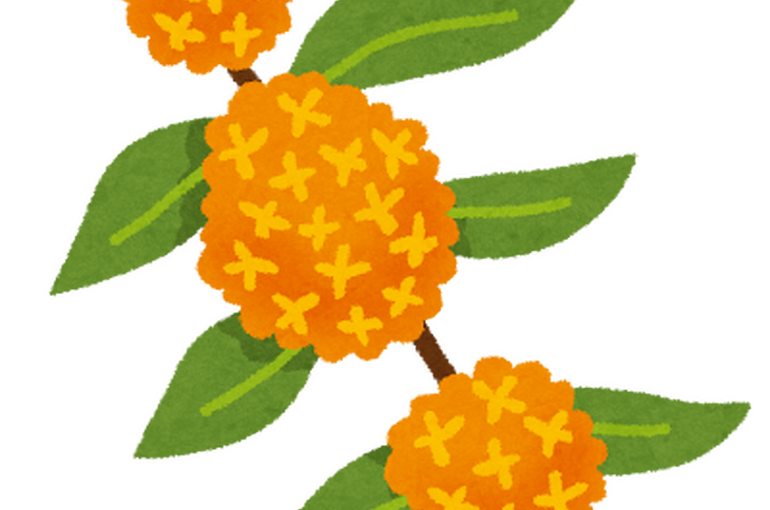 flower_kinmokusei